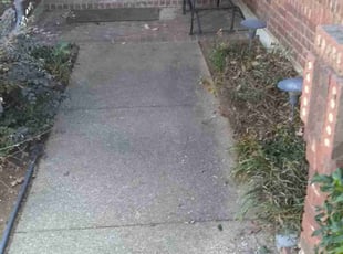 Leaf Removal by Walter Allison for Kenneth L. in Grapevine, TX