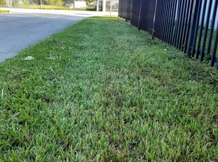Landscaping by Toneka Finch for Edward D. in Miami, FL