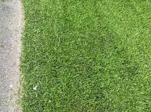 Steven L.'s Lawn Service service result