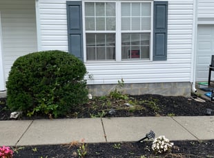 Bush Trimming by Chris Thomas for Marsha F. in Chester, VA