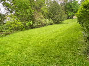 Tish C.'s Grass Cutting service result