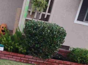 Bush Trimming by Miguel Montes for Eric M. in Commerce, CA