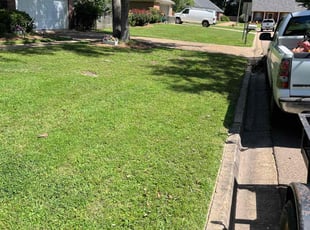 Susie M.'s Lawn Mowing Service service result