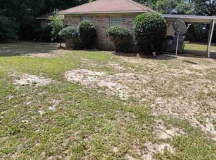 Bush Trimming by Shawn Mcdonald for Rita B. in Milton, FL