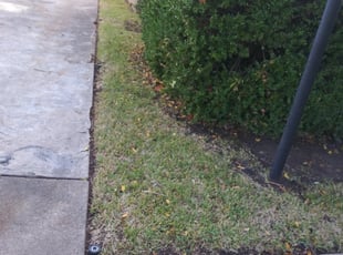 Leaf Removal by Israel Contreras for Rudy F. in Dallas, TX