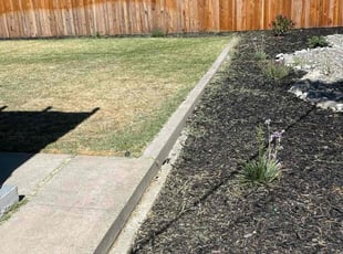 Cleanups by Allen Mose for Amy C. in Sacramento, CA