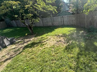 Cleanups by Fidel Rodriguez for Stacy C. in Arlington, VA