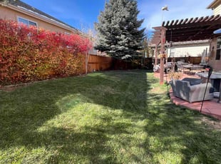 Itzel D.'s Lawn Care service result