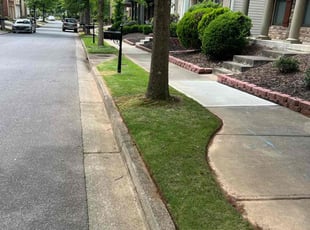 Jennifer L.'s Grass Cutting service result