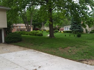 Cleanups by Christopher Johnson for Paula K. in Kansas City, KS