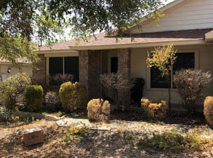 Bush Trimming by Douglas Dorris for Allison H. in Round Rock, TX