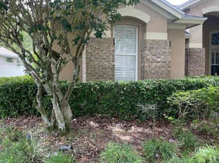 Bush Trimming by Alphonso Sharp for Andrew P. in Lutz, FL