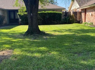 Daniel S.'s Lawn Mowing service result