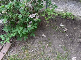 Cleanups by Dwayne Galloway for Cori M. in Columbus, OH