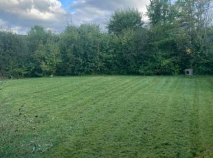Sara C.'s Lawn Care service result