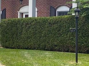 Bush Trimming by Adrian Franco-Gonzalez for Tony S. in Toledo, OH