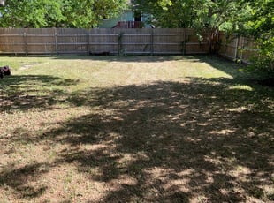 Leaf Removal by Johnny Shaw for Ben O. in Fort Worth, TX