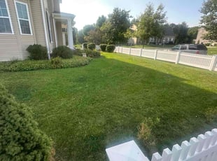 Kareem H.'s Lawn Care service result