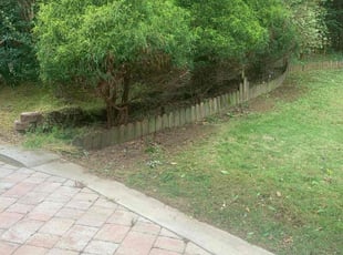 Bush Trimming by Hunter Foster for Angela M. in Anderson, SC