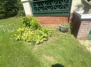 Weeding by Brandon McGee for Kelly G. in Inman, SC