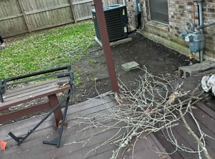 Leaf Removal by Carjaseph Bell for Jimmy M. in Pearland, TX