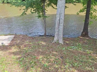 Weeding by Rickey Mccoy for Jim C. in Suwanee, GA