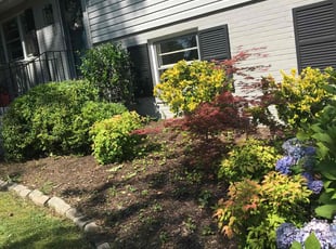 Bush Trimming by Davon Lightfoot for Andrew A. in Richmond, VA