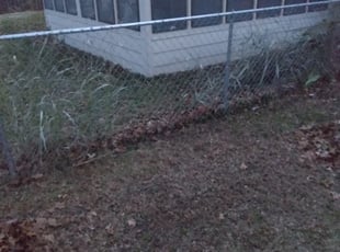 Leaf Removal by Amy Yuille for Anjelica G. in Raytown, MO