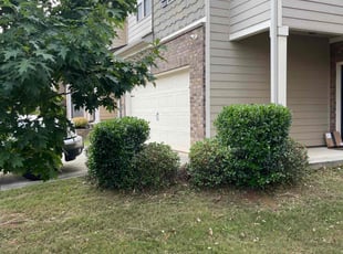 Bush Trimming by Jeffrey Curtis for Chanel P. in Atlanta, GA