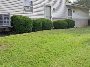 Bush Trimming by Collin Clark for Sonia D. in Cincinnati, OH