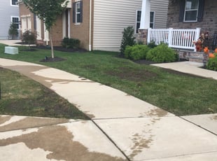 Landscaping by Ayinde Hawkins for Shaneka S. in Upper Marlboro, MD