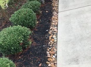Weeding by Sonia Arellano for Andrew P. in Spring, TX