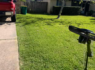 Shanena W.'s Lawn Mowing service result
