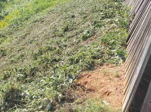 Landscaping by Bryan Osment for Eric L. in Inman, SC