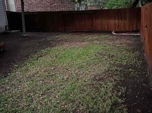 Leaf Removal by Rahiem Hardy for Cameron D. in Helotes, TX