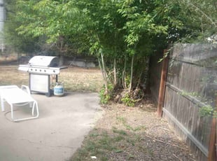 Bush Trimming by James McKay for Anne S. in Englewood, CO