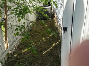 Bush Trimming by Marcellin Jean for Karen S. in Hamilton Township, NJ