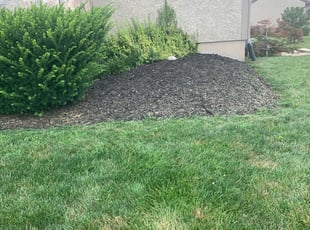 Weeding by Carlos Lopez for Michaela W. in Kansas City, MO