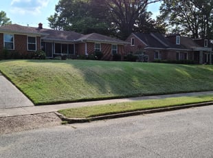 Bush Trimming by Bridgette Hill for Becky B. in Memphis, TN