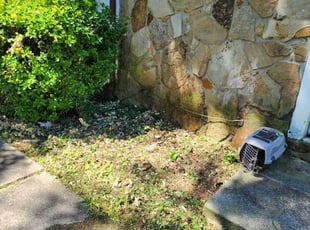Weeding by Delvyn Watson for Staci M. in Lithonia, GA