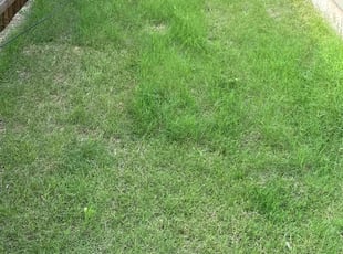 Cleanups by Patrick Stewart for Doticia S. in McKinney, TX