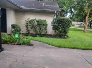 Bush Trimming by Hugo Melgar for Ashley B. in Houston, TX