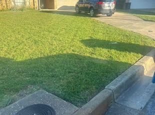 Robert H.'s Grass Cutting service result
