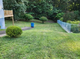 Cindy P.'s Lawn Mowing Service service result