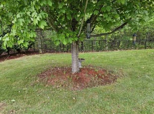 Cleanups by Robert Witt for Abraham M. in Nashua, NH