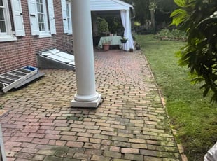Weeding by Norberto Soto for Thomas W. in New Castle, DE