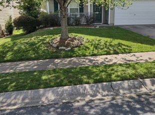 Cleanups by Michael Cherry for Kris B. in Charlotte, NC