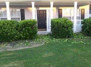 Bush Trimming by Shedrick Corbin for Derrick C. in Buford, GA