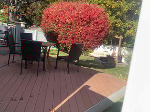 Cleanups by David Cardillo for Melissa S. in Cranston, RI