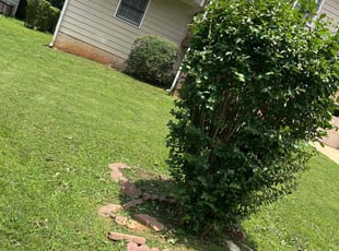 Bush Trimming by Jett Oliver for Manuel N. in Lithonia, GA